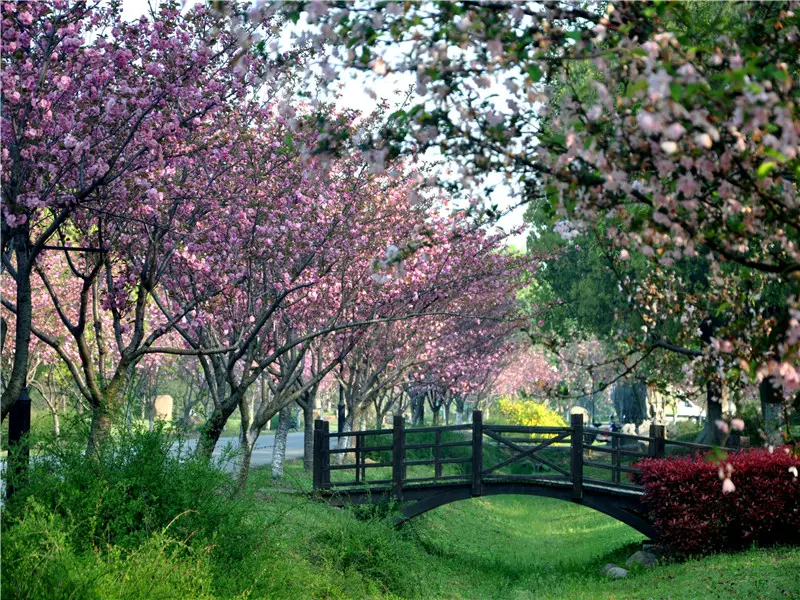 Suzhou China Flower Botanical Garden