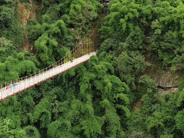 Bamboo Canyon Scenic Area (Jinji Valley)