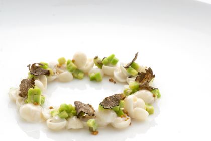 Gastro Esthetics at DaDong