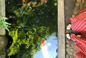 Fern Forest Café User Photo