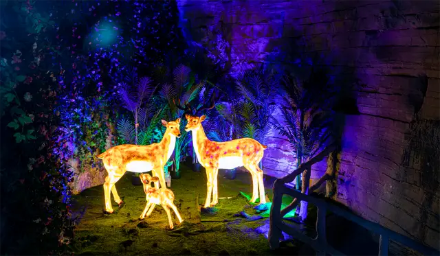 Enshi Cave Exploration