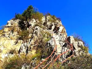 Immortality Terrace