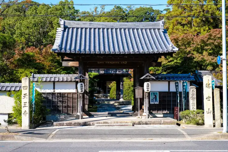 Tsu