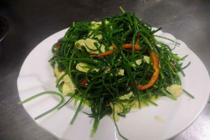 马志勇农家小院