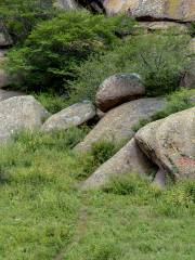 Yinshan Rock Painting