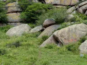 Yinshan Rock Painting