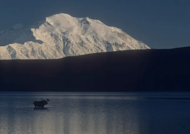 4-звездочные отели в г. Хили