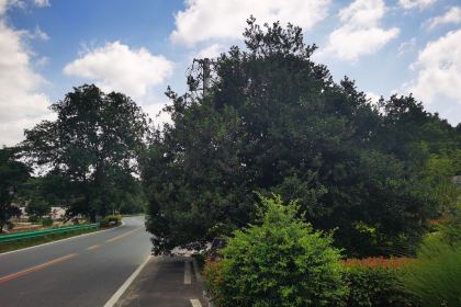 云里安凹本味餐厅