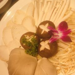 龙腾庭院火锅(恒大新城店) User Photo