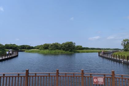 龙腾酒家(泰山街店)
