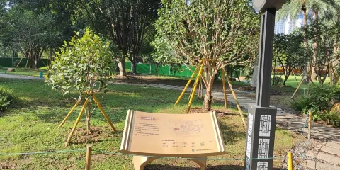 九山公園