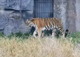 Guanghegu Zoo