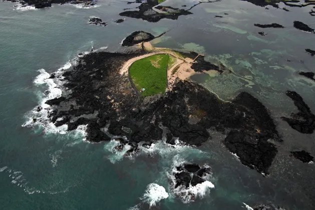 Отзывы об отеле oceanpalade hotel