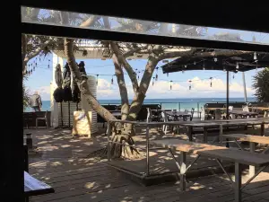 Coffee Cat On Kings Beach