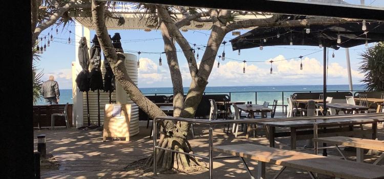 Coffee Cat On Kings Beach