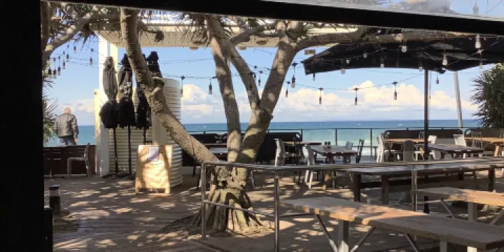 Coffee Cat on Kings Beach