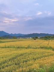 新安江國際濱水公園彩繪田園