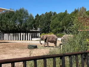 Ordos Wildlife Park