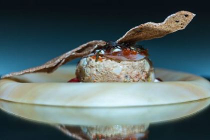 Starfish - Royal Hideaway Corales Resort