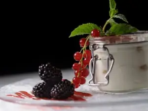 Vino e Gusto