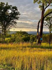 Winslow Hill Elk Viewing Area