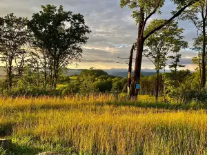 Winslow Hill Elk Viewing Area