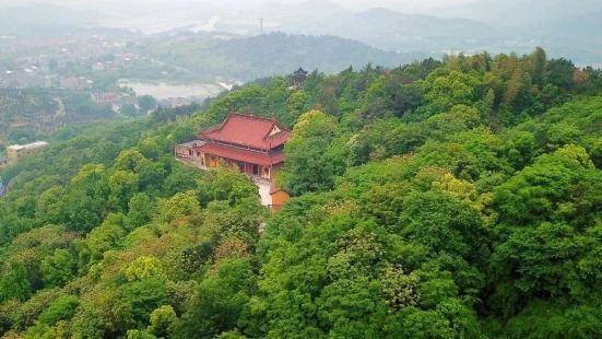 蝙蝠禪寺