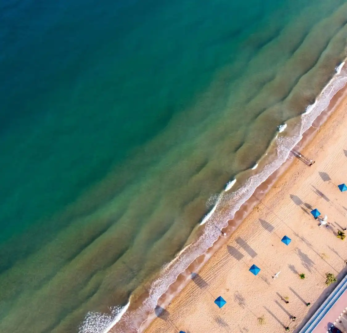 鄰近火烈鳥沙灘的酒店