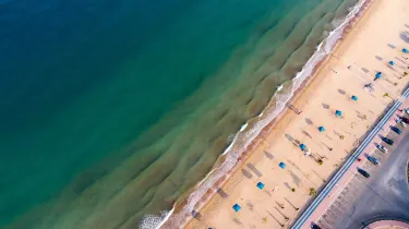 Flamingo Beach