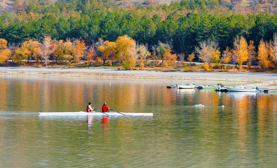 Hotels near Lotus Lake