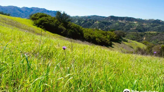 Topanga State Park