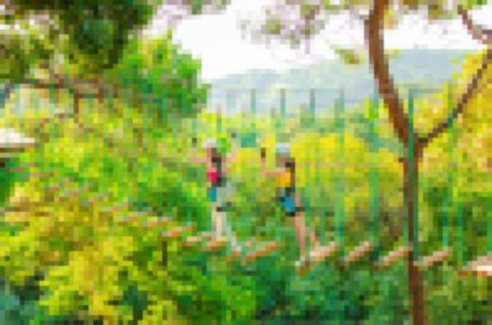 Xiqiao Mountain Forest Bar Aerial Tree Adventure Park Tickets