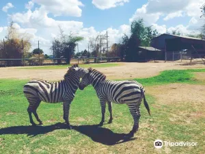 Kanchanaburi Wildlife Park
