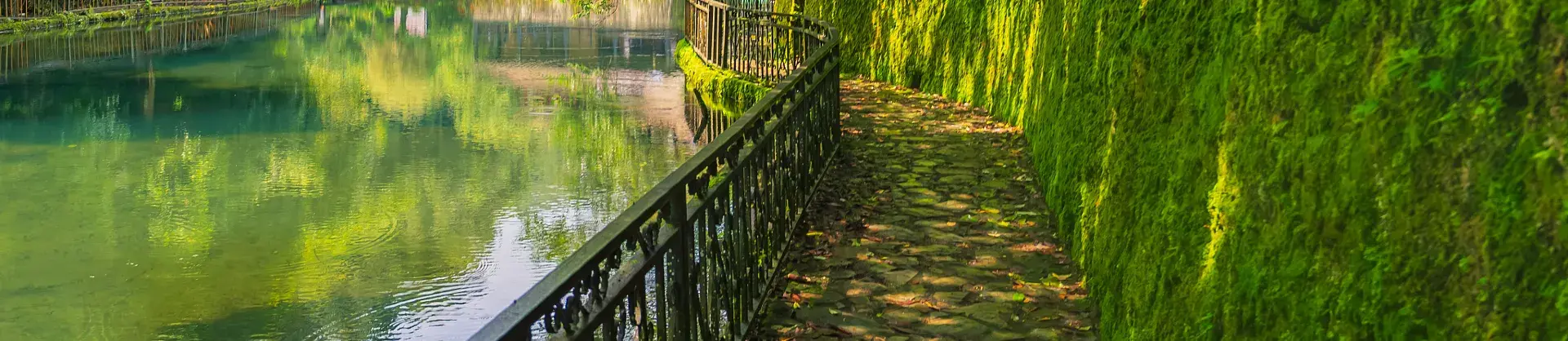 Blumenschau Attraktionen