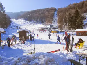 Seggiovia di Caldirola Bike Park