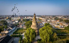 Ashoka Tower