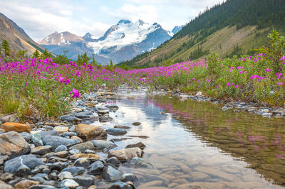 Banff National Park