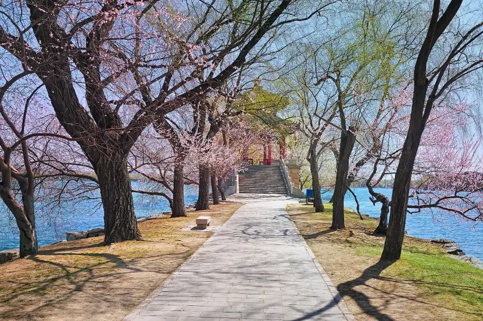 4_Summer Palace