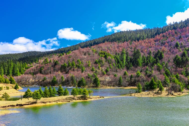 옥룡설산 준비물