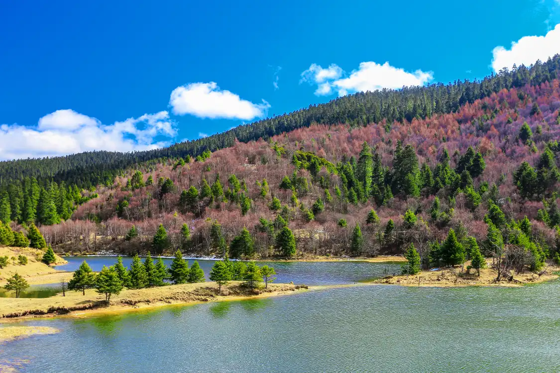 Hotels near Potatso National Park
