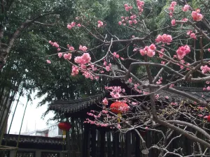 個園