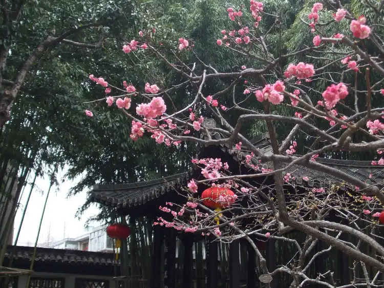 Các khách sạn gần Ge Garden