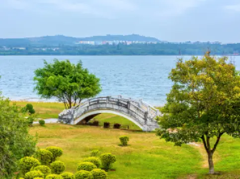 หินหูกวาง