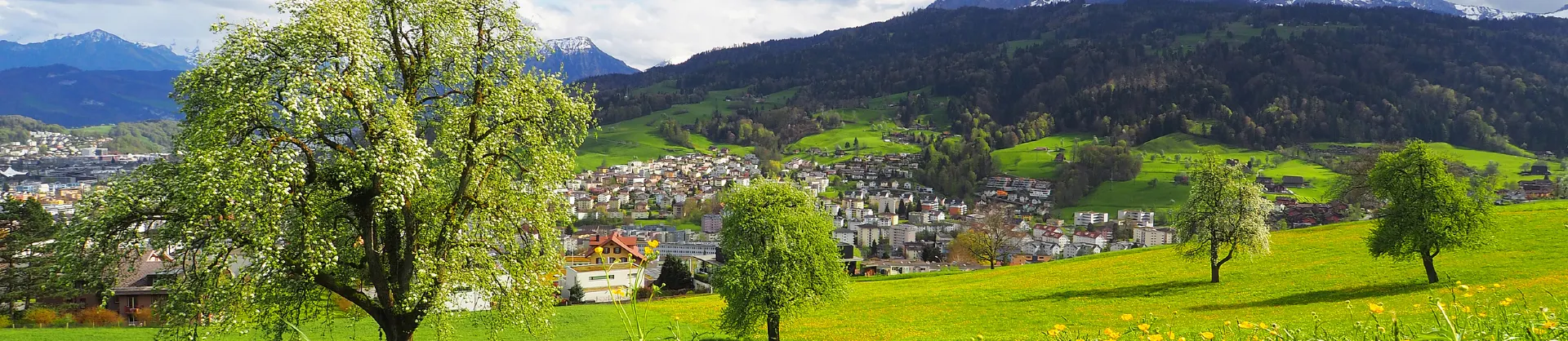Blumenschau Attraktionen