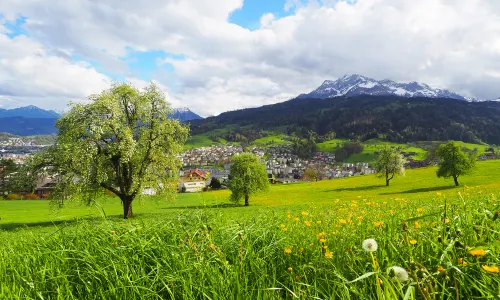 Pilatus