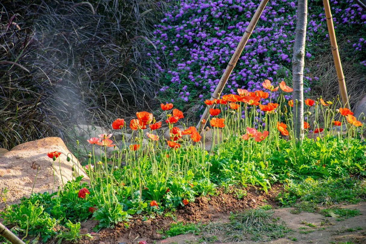 4_สวนภูเขาฮุวุจิ