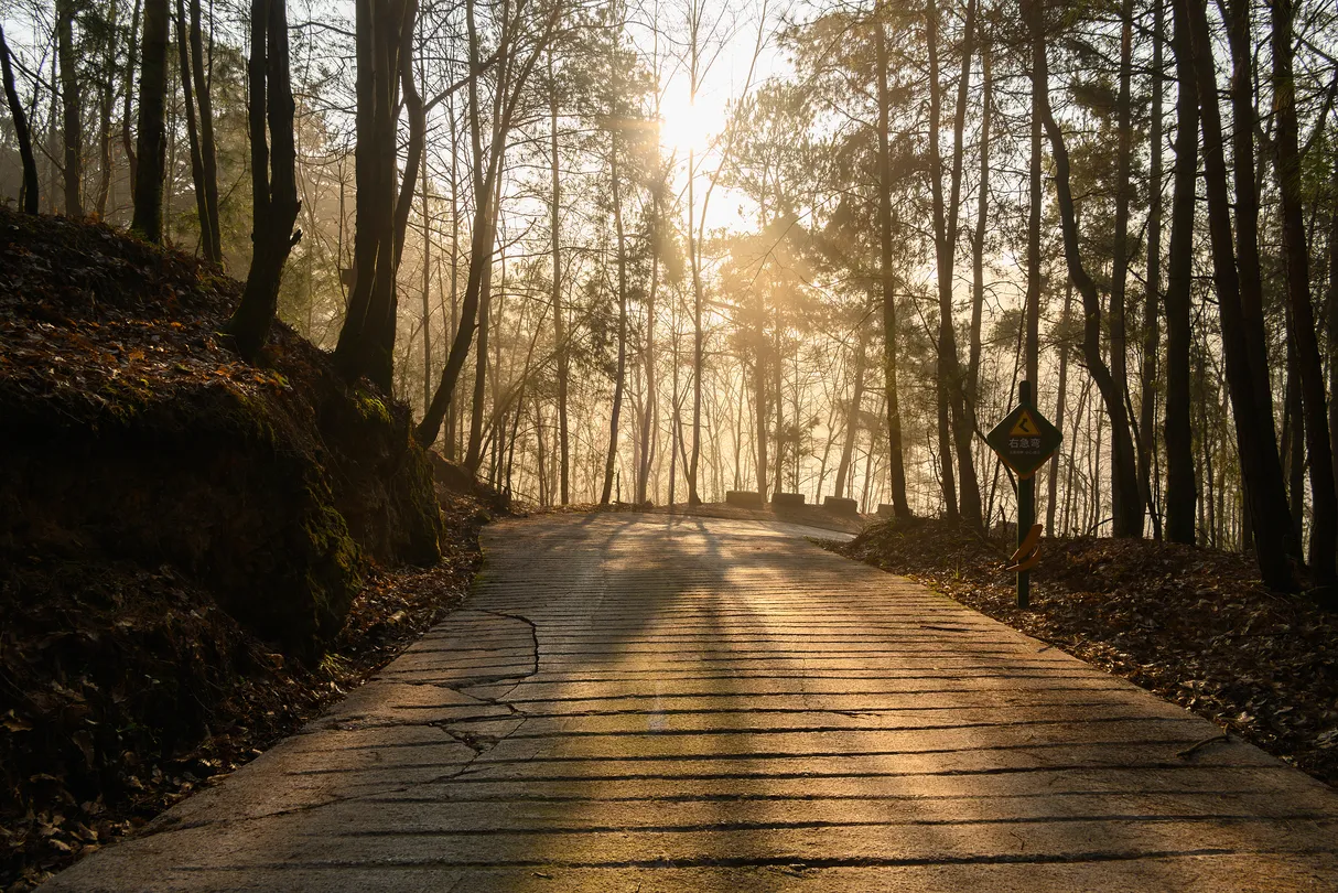 5_Guiyang Forest Park