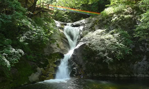 Xiangyu Forest Park