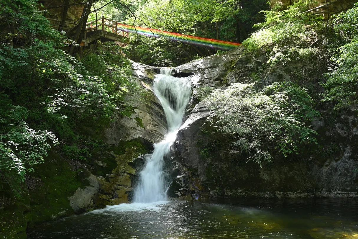 1_祥峪森林公園