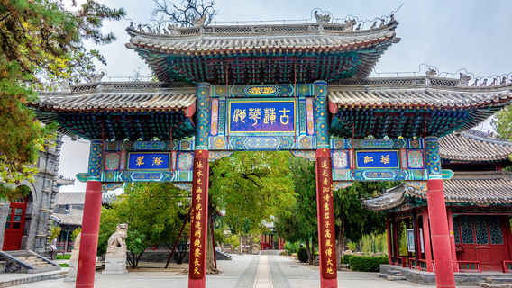 Ancient Lotus Flower Pond